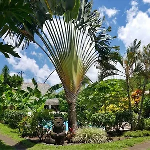 De La , Punaauia (Tahiti) Polynésie française